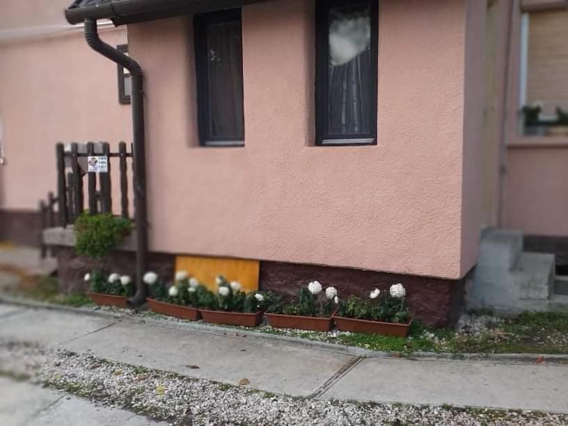 Pihenes A Malomtonal Privat Berlemeny Pension Tapolca Buitenkant foto